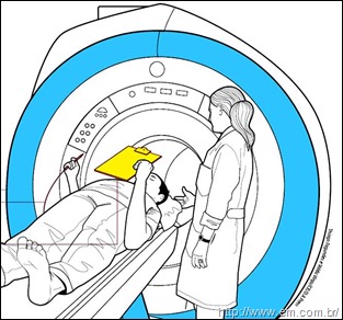 La mente y la Escritura
