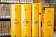 Gramtica-de-la-Lengua-Espanola.jpg