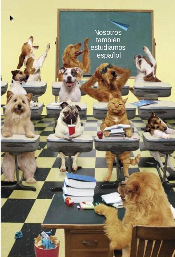 Estudiantes Caninos de Español